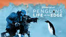 Penguins: Life On The Edge Poster 7