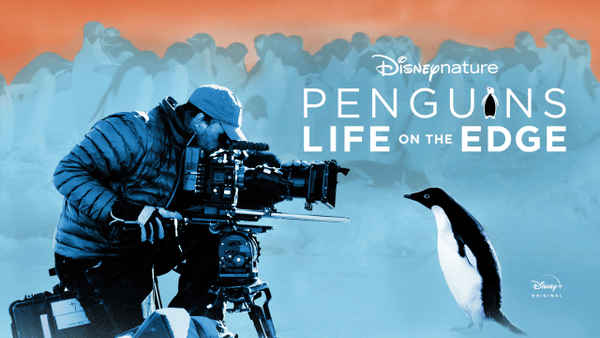 Penguins: Life On The Edge Poster 7