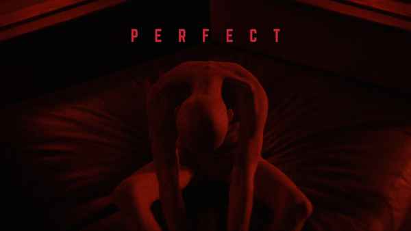 Perfect Poster 2