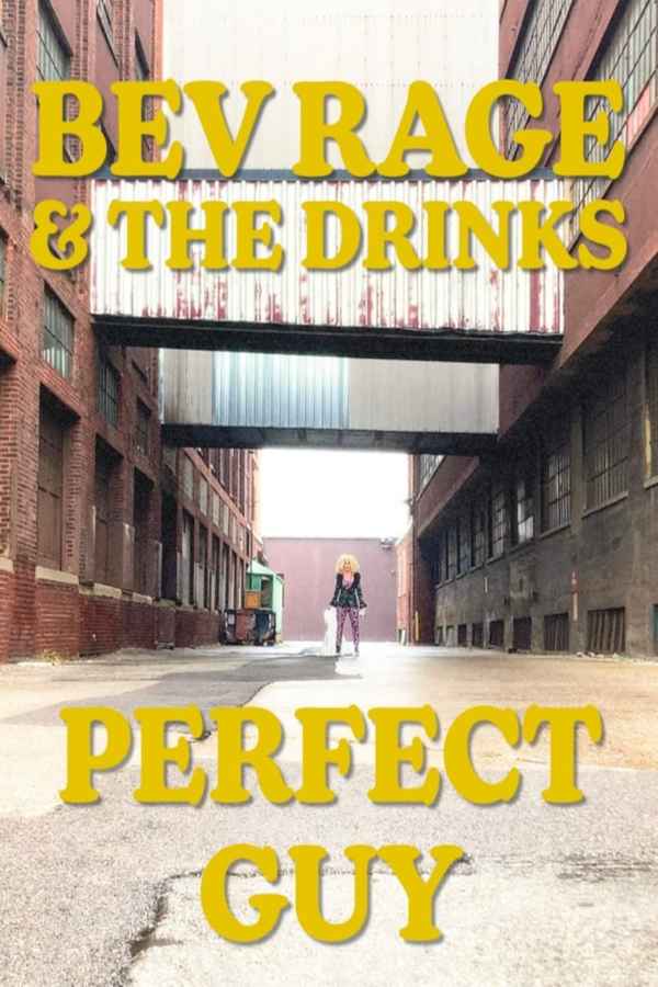 Perfect Guy Poster 1