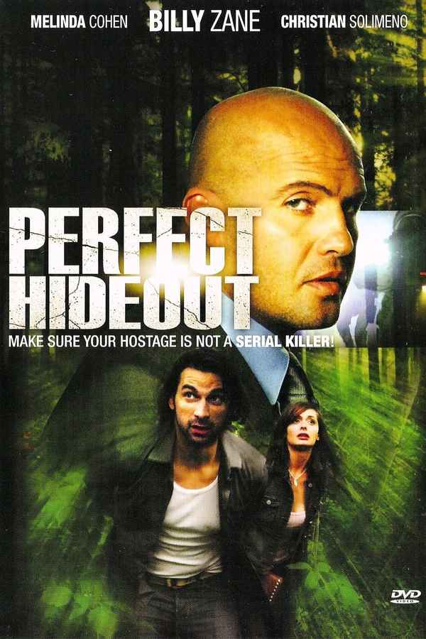 Perfect Hideout Poster 6