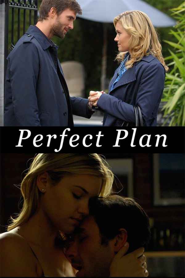 Perfect Plan Poster 5