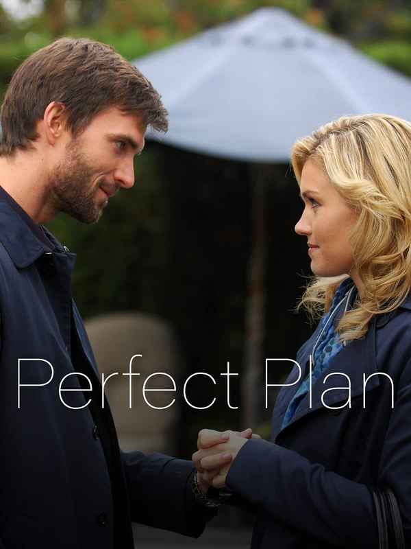 Perfect Plan Poster 4