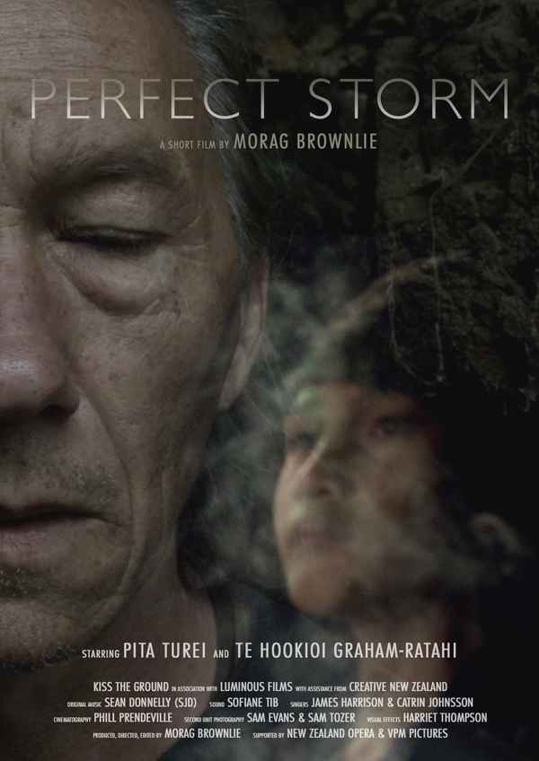 Perfect Storm Poster 2