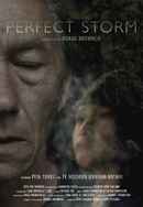 Perfect Storm Poster 3