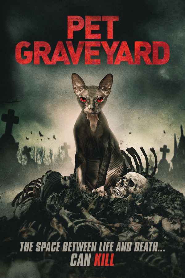 Pet Graveyard Poster 1