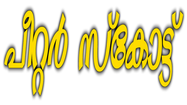 Peter Scott Poster 4