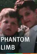 Phantom Limb Poster 4