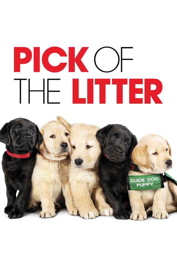 Pick of the Litter Poster 3