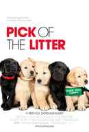Pick of the Litter Poster 1