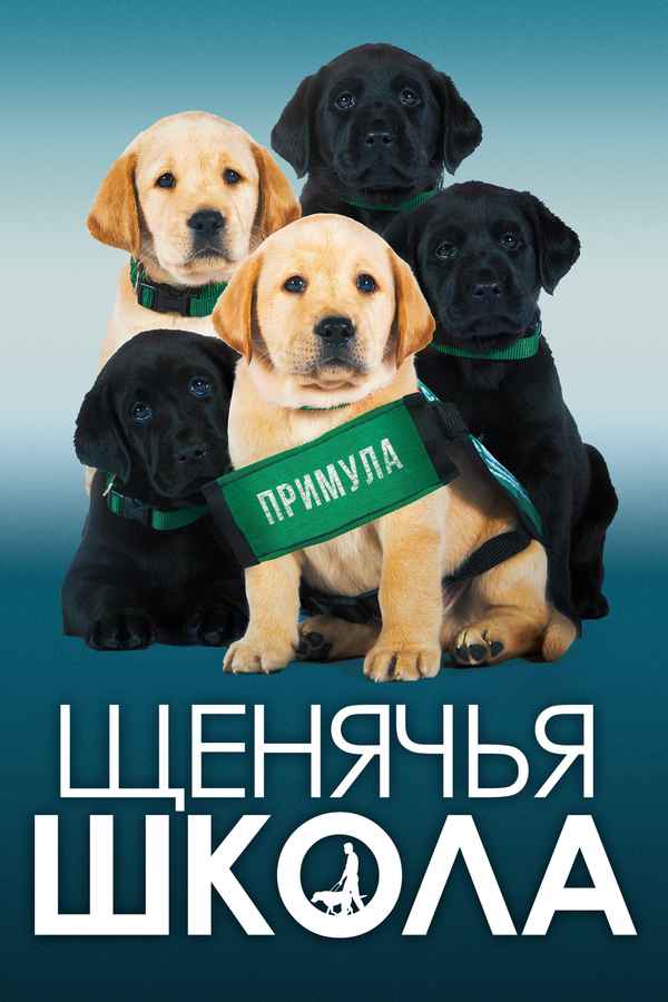Pick of the Litter Poster 2