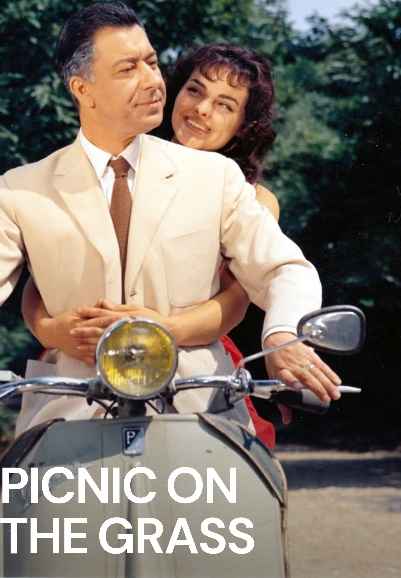 Picnic on the Grass