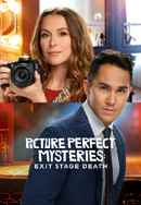 Picture Perfect Mysteries: Exit Stage Death Poster 4