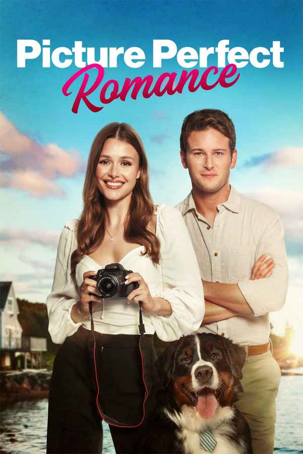 Picture Perfect Romance Poster 4
