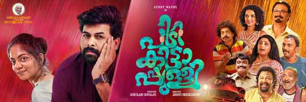 Pidikittapulli Poster 1