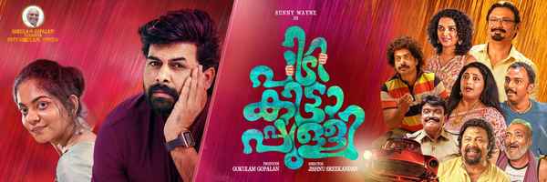 Pidikittapulli Poster 4