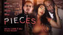 Pieces Poster 3