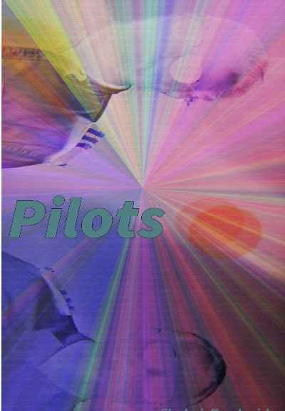 Pilots