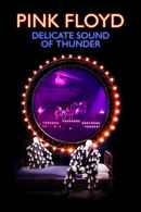 Pink Floyd: Delicate Sound of Thunder Poster 3