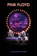 Pink Floyd: Delicate Sound of Thunder Poster 2