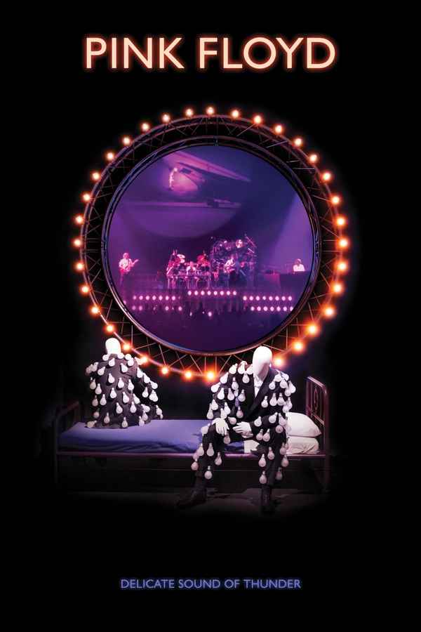 Pink Floyd: Delicate Sound of Thunder Poster 2