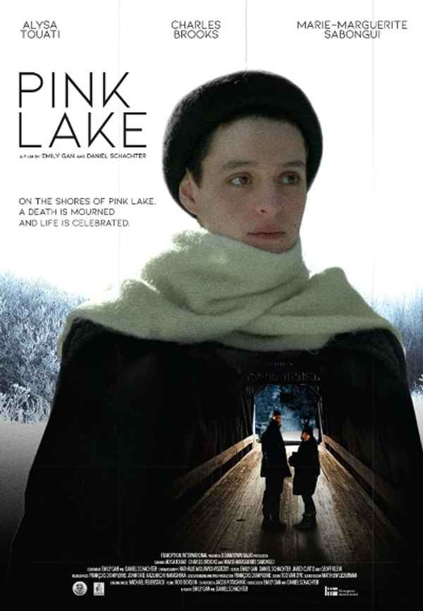 Pink Lake Poster 5