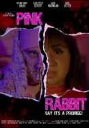 Pink Rabbit Poster 3