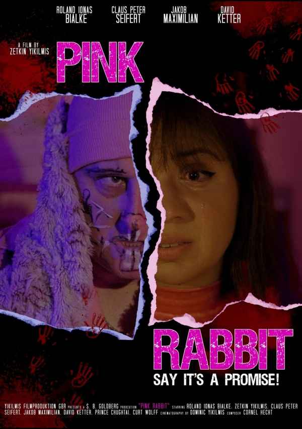 Pink Rabbit Poster 3