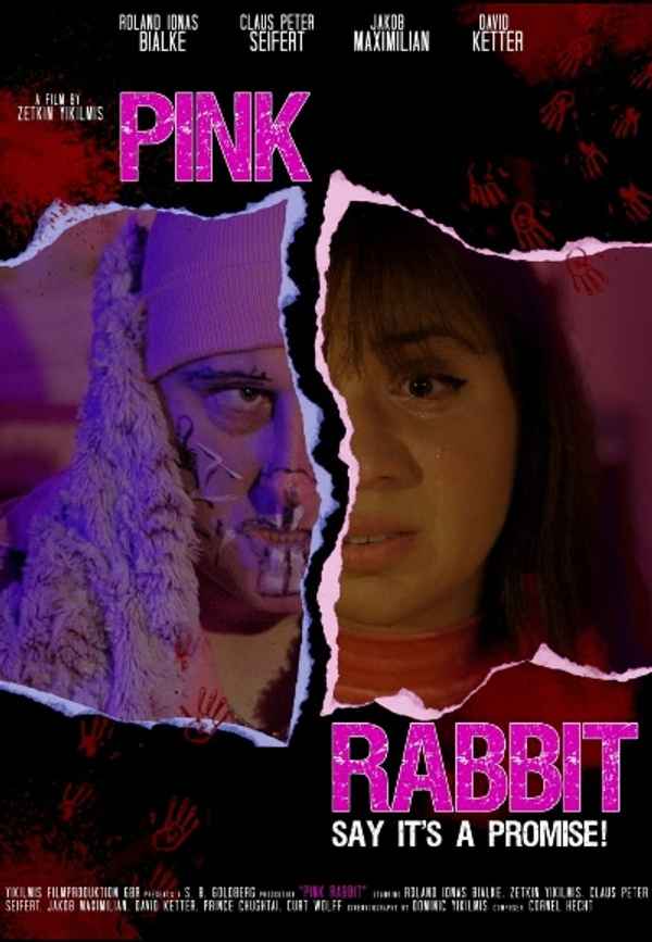 Pink Rabbit Poster 4