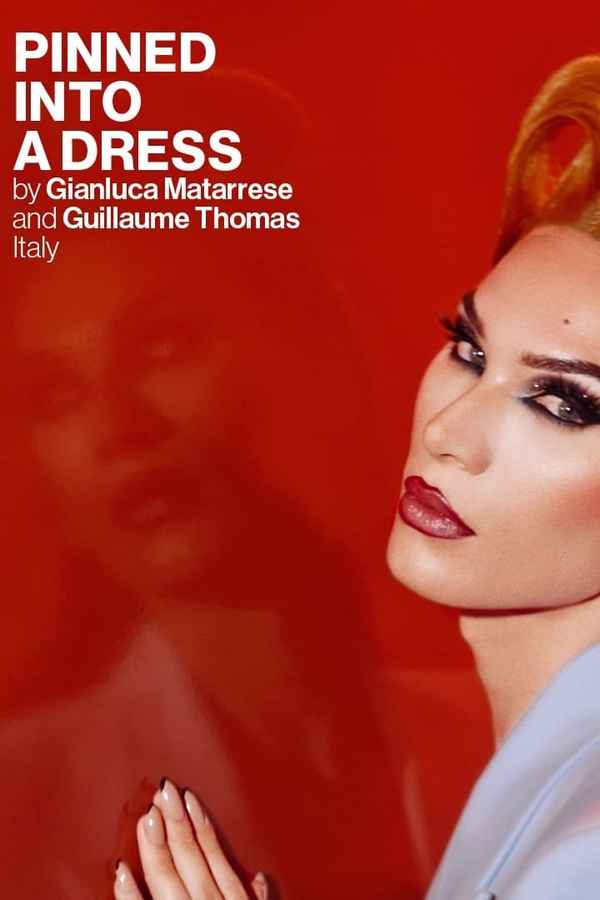 Pinned Into A Dress Poster 2