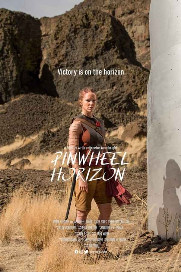 Pinwheel Horizon Poster 1