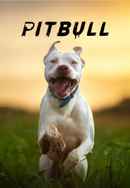 Pitbull Poster 6