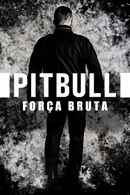 Pitbull Poster 4