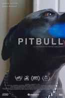 Pitbull Poster 7