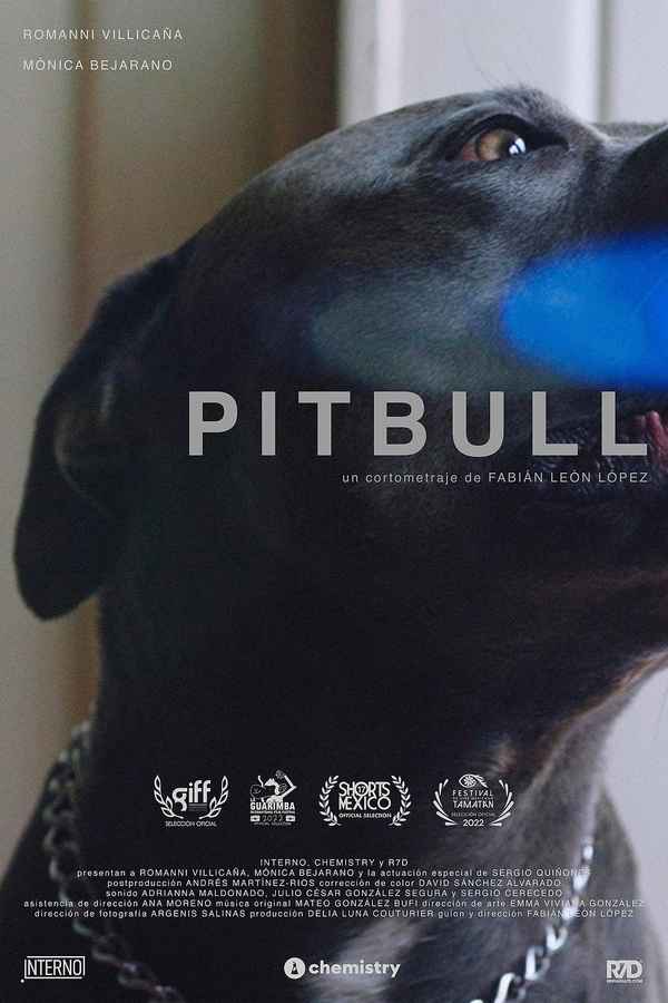Pitbull Poster 7