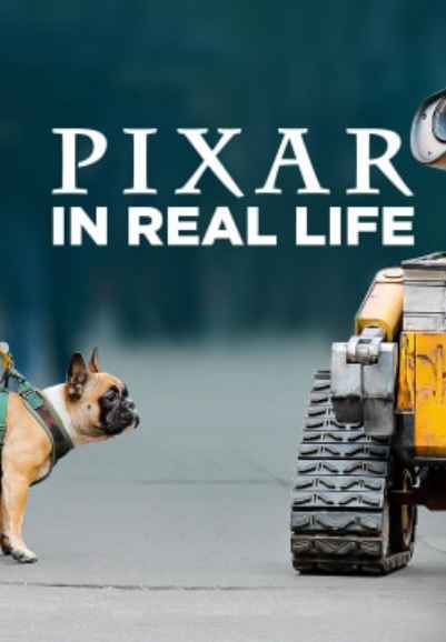 Pixar In Real Life
