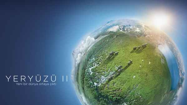 Planet Earth II Poster 5