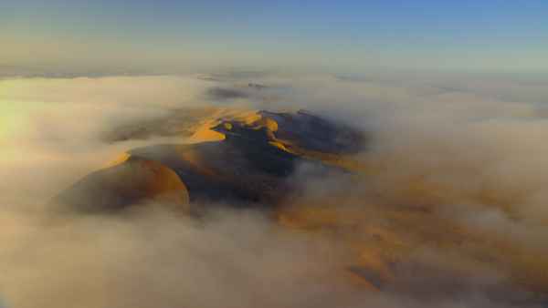 Planet Earth II Poster 3