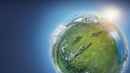 Planet Earth II Poster 7