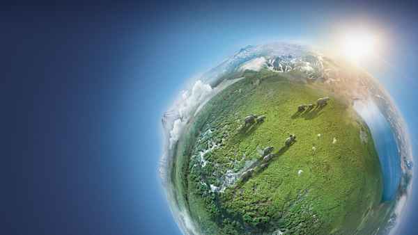 Planet Earth II Poster 7