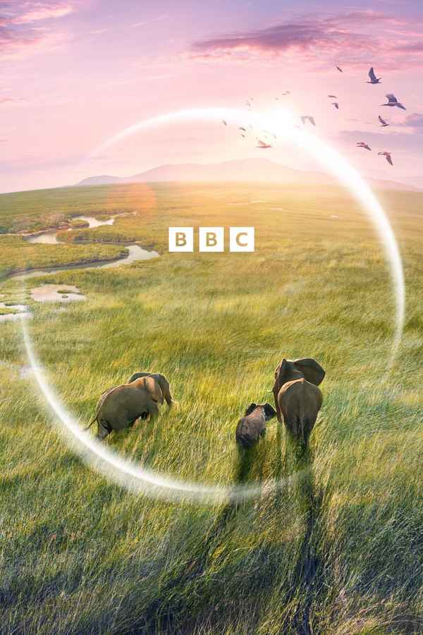 Planet Earth III Poster 7