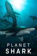 Planet Shark Poster 2