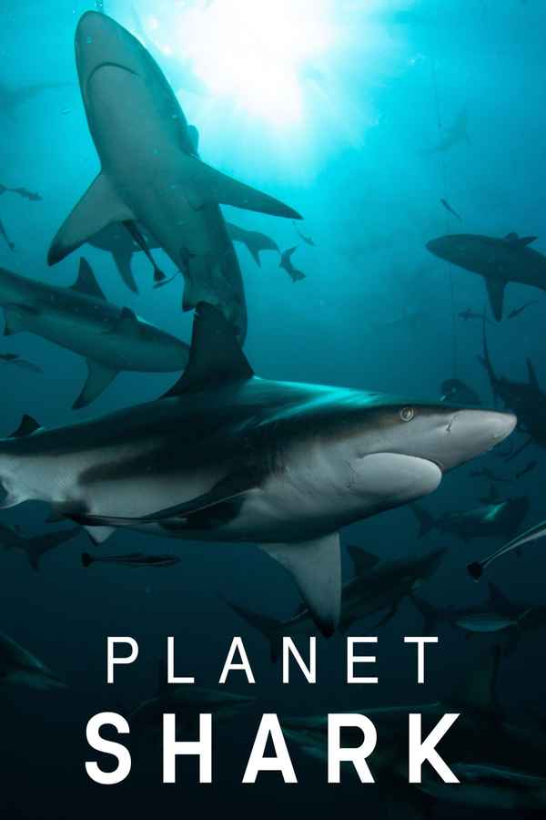 Planet Shark Poster 2