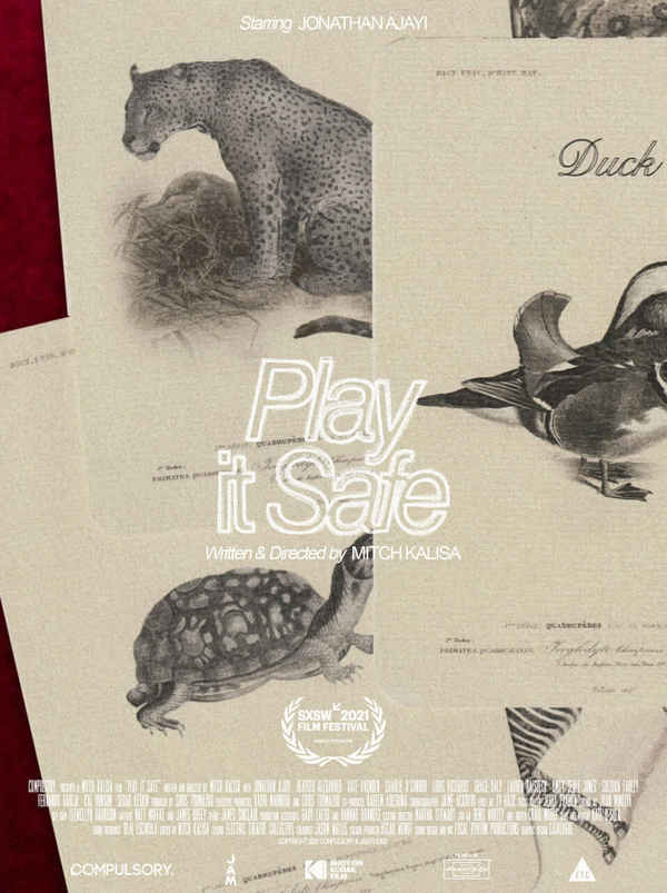 Play It Safe Poster 3