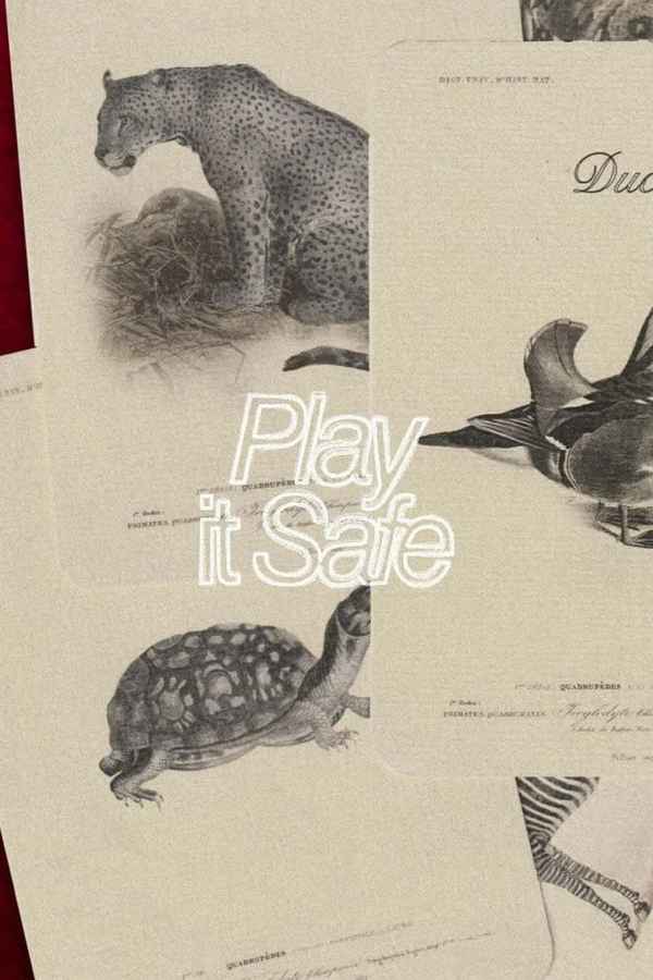 Play It Safe Poster 6