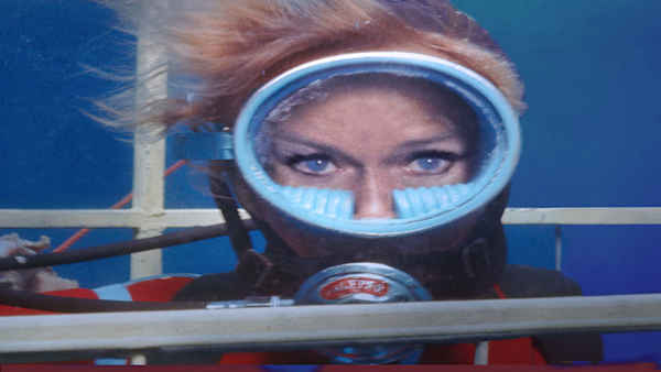 Playing with Sharks Poster 7