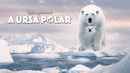 Polar Bear Poster 1