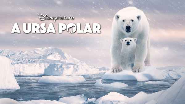 Polar Bear Poster 1