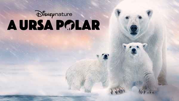 Polar Bear Poster 2