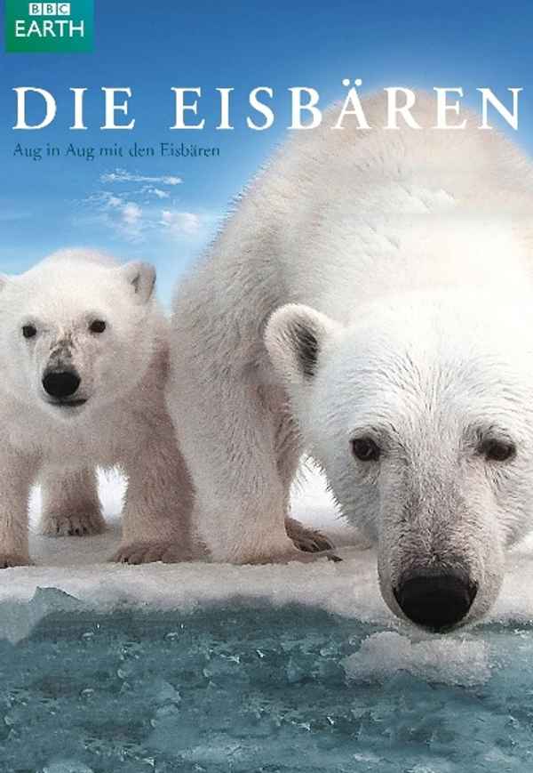 Polar Bear: Spy on the Ice Poster 3